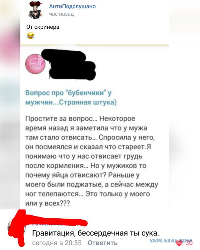 Смешные комментарии из социальных сетей 02.11.2018