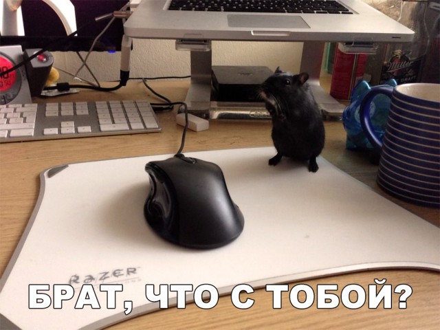 Нестандартный юмор