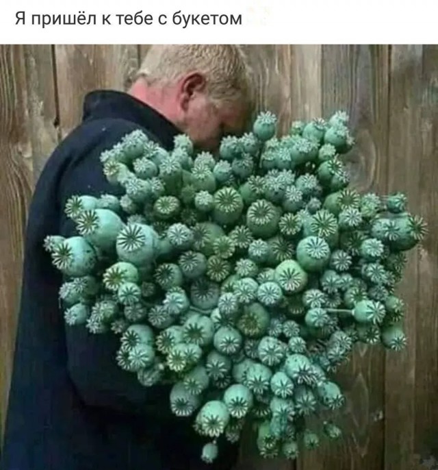 Немного картинок для настроения
