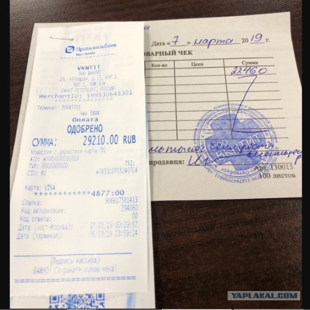 Помогите вернуть кота! Приют "Преданное сердце" украл кота и не отдает!-2
