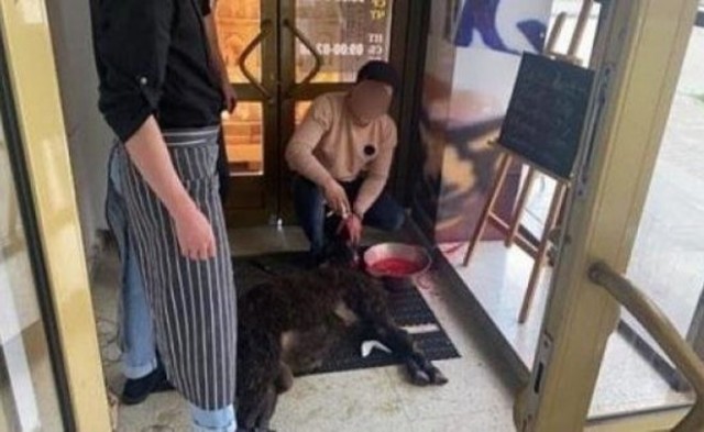 В Набережных Челнах прямо в торговом центре зарезали барана