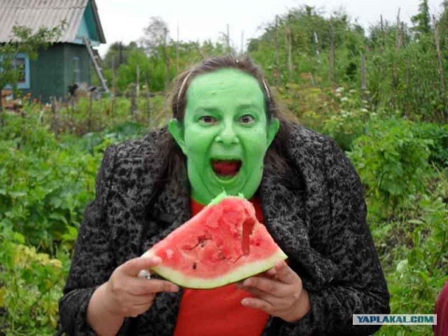 Фотожаба: Принцесса ФИОНА