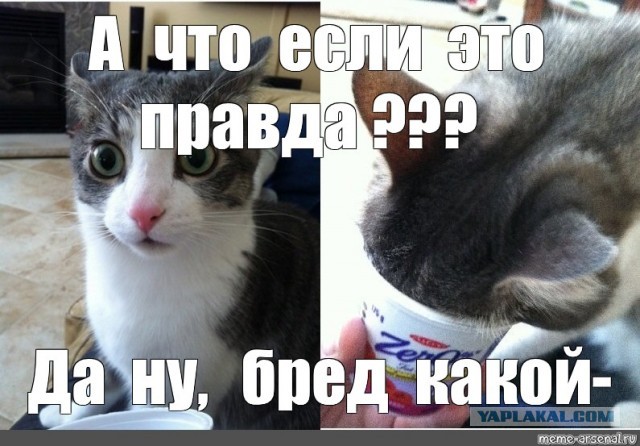 Почему Русь пришлось крестить "огнём и мечом"