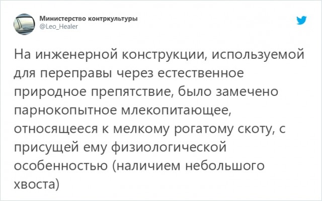 Пользователь Твиттера предложил перевести любую фразу на юридический язык