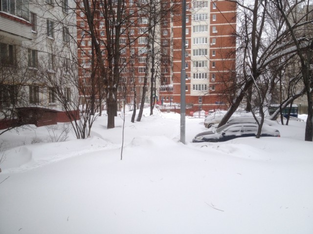 Бедные москвичи