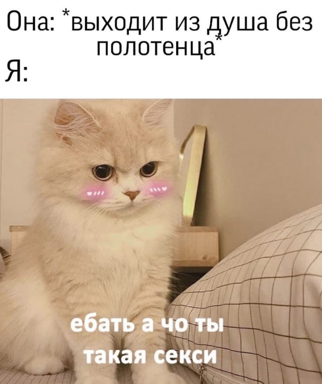 Картинки и мемы для настроения 011
