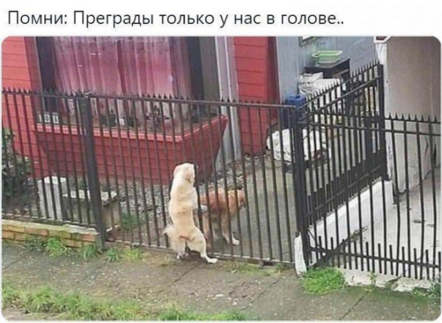 Картинки и мемы для настроения 12.04.2021