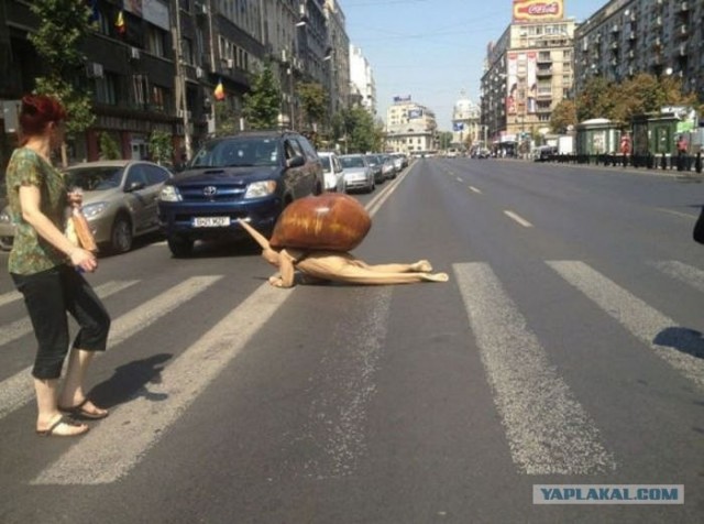 Донецкий парковщик
