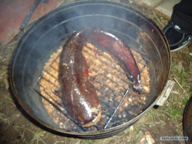 КопчуЮшки