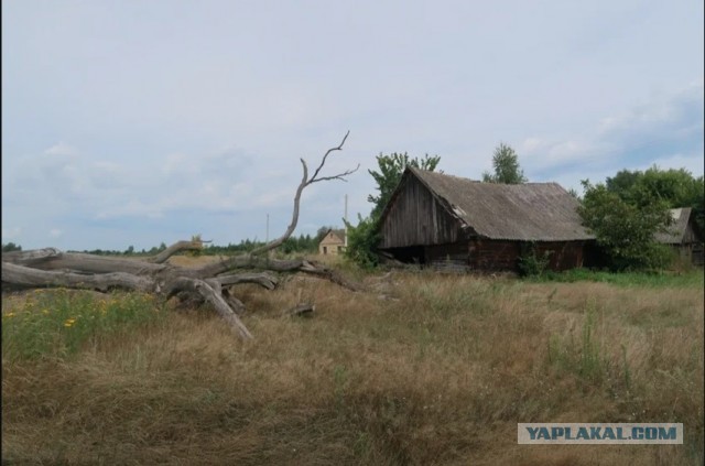 Деревни в глубинке Беларуси. Жизнь в Полесье