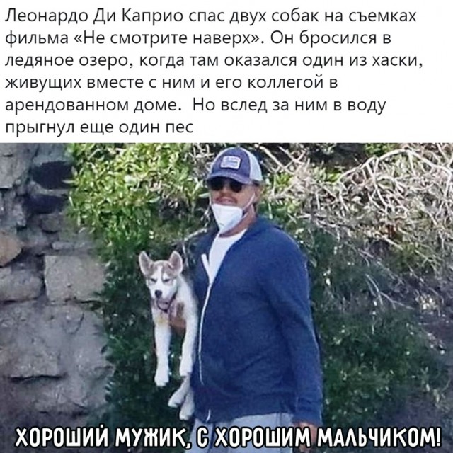 Картинки и мемы для настроения 28.12.2021