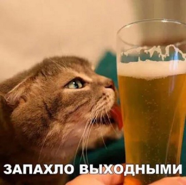 Картинки и мемы для настроения 27.01.2022