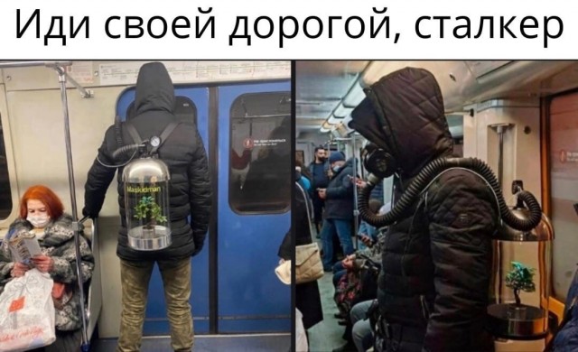 Так себе картинки 03.02.22