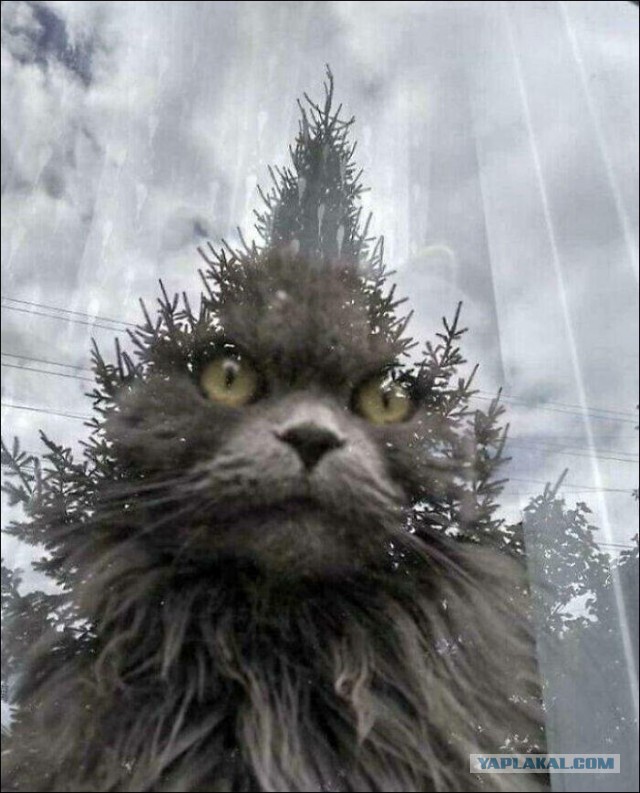 Котовторниковское