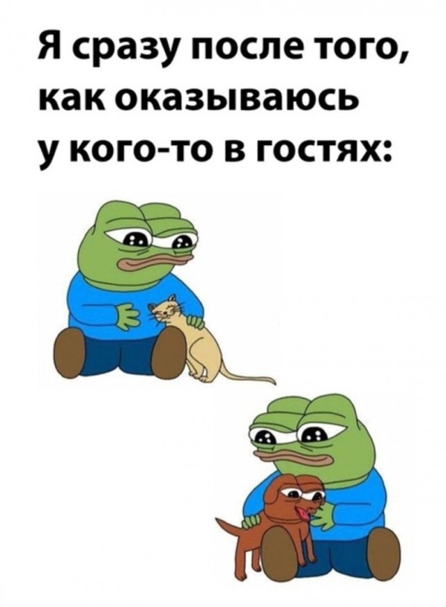 Так себе картинки 10.06.22