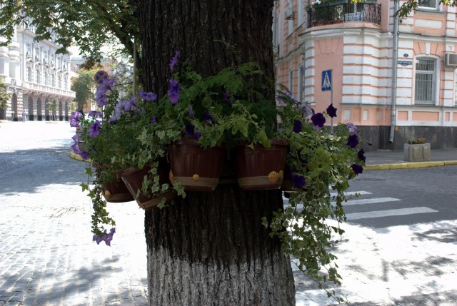 Поездка в Киев