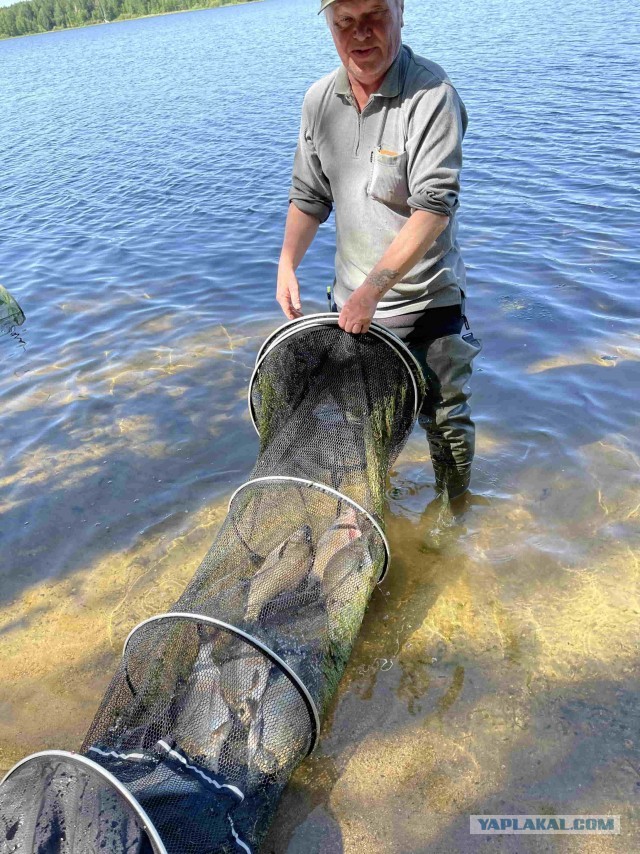 Кулинарная общалка