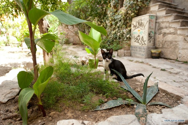 Поездка в Хорватию