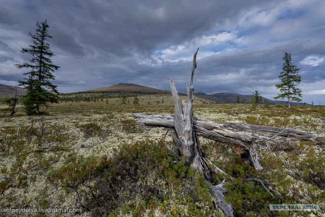 Сплав по реке Котуйкан.