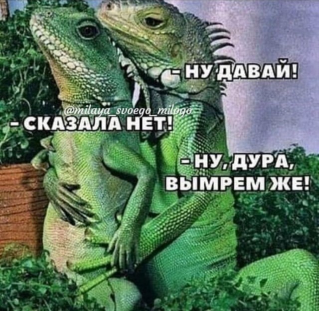 Грош цена женскому слову