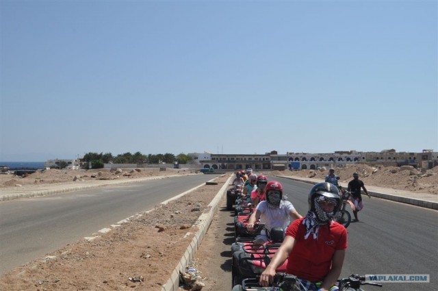 Как я ездил в Египет