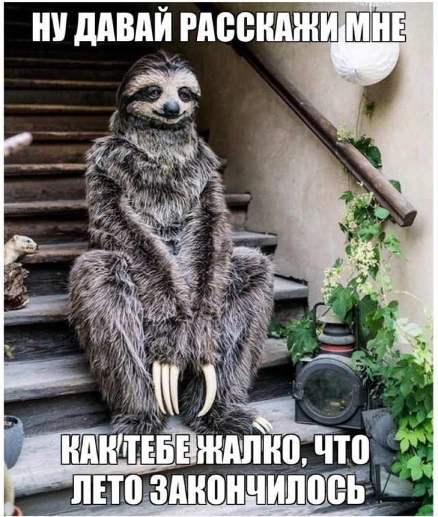 Очень унылые картинки