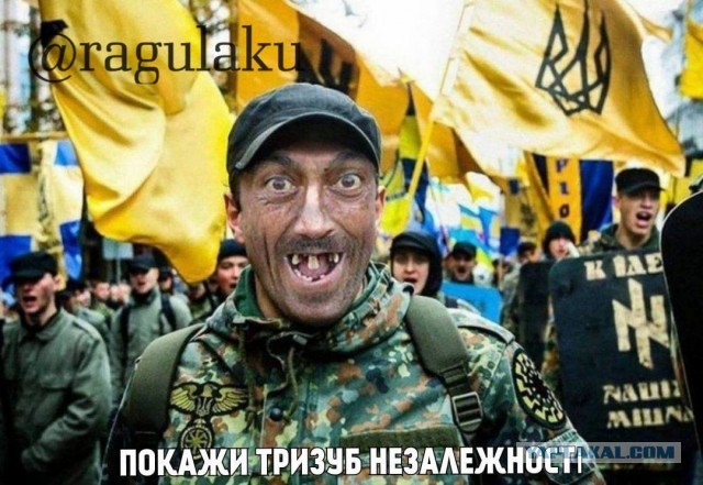 Встреча ВСУ с армией РФ.