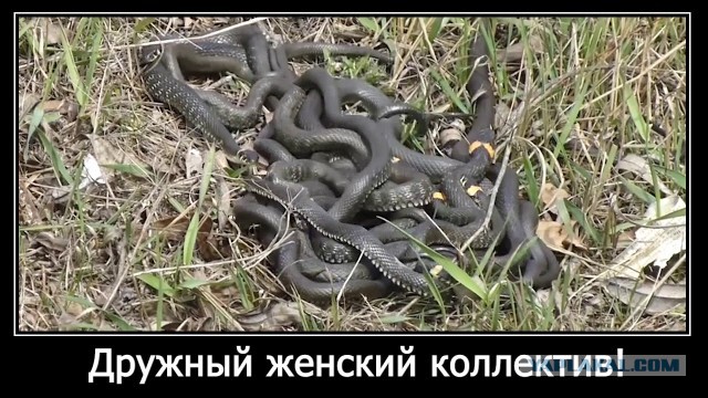 "Из-за таких "счастье любит тишину". "