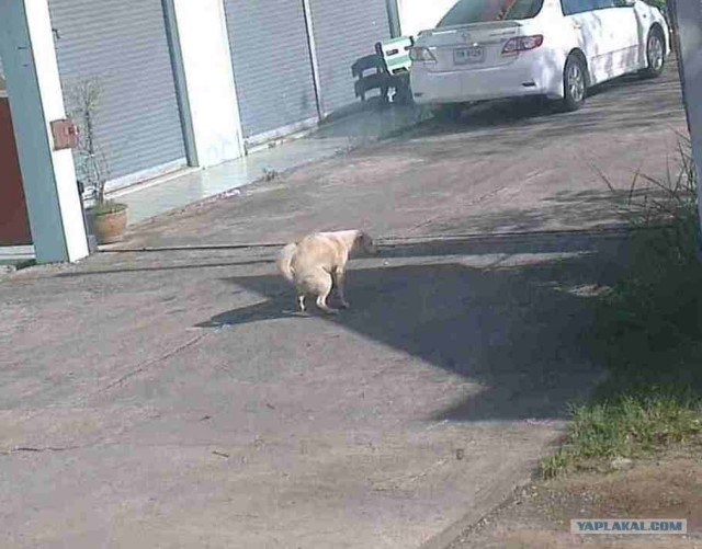 Краткий отзыв об отдыхе в Тайланде.