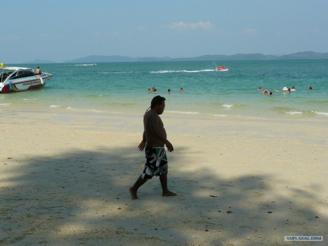 Немного Тая