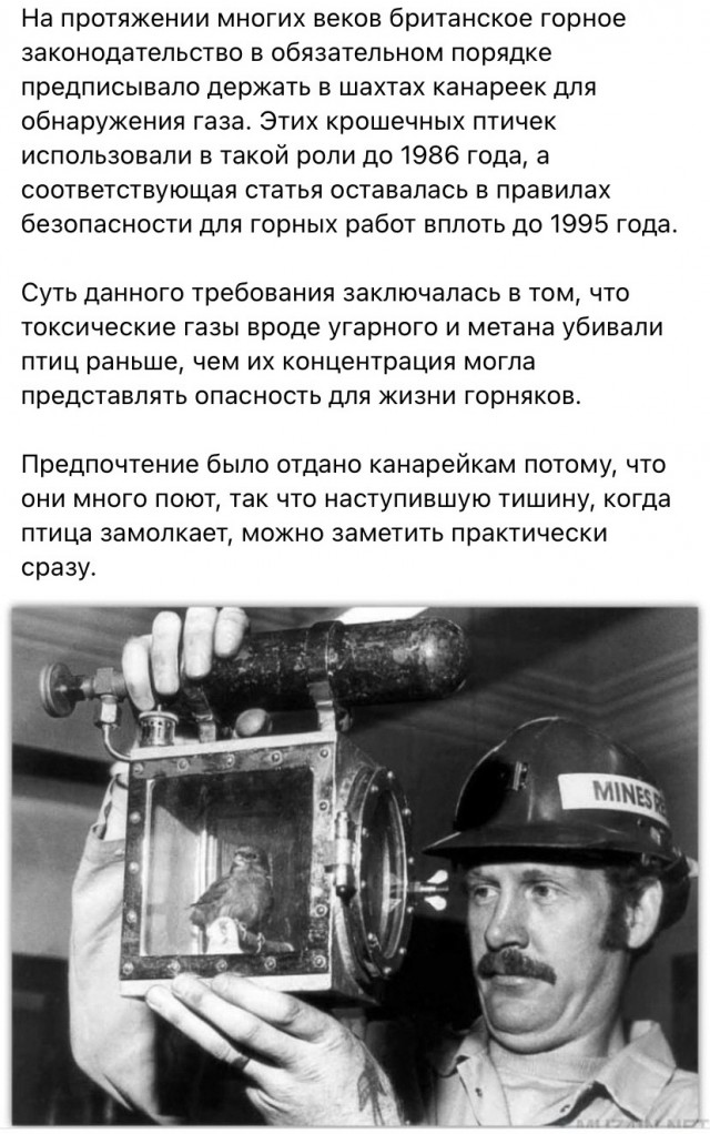 17 винтажных снимков, доказывающих, что прошлое – кладезь всего самого интересного