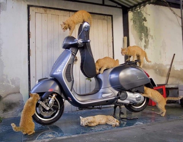 Подборка интересных и прикольных фото из Сети 01.04.23