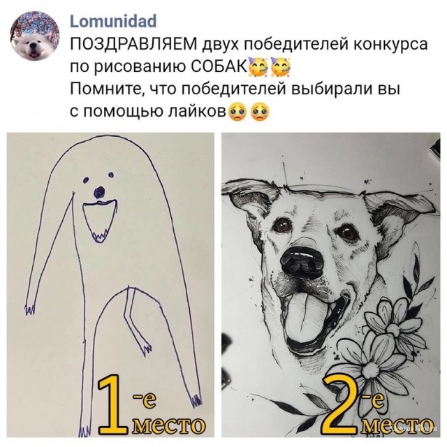 Скупка краденого из сети 06-06-2023