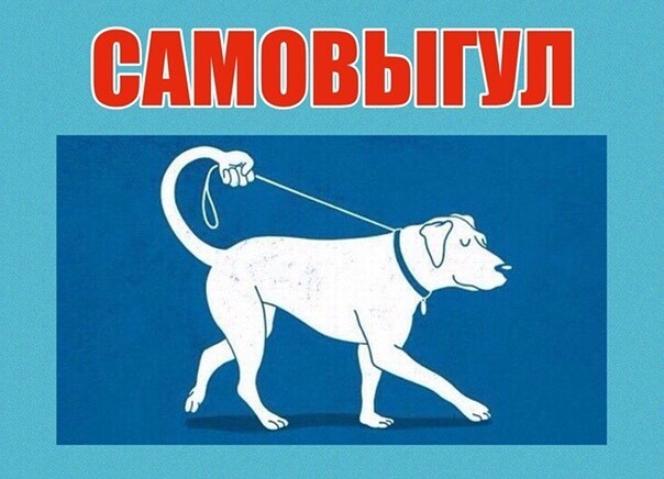 Депутаты запретили самовыгул собак и котов