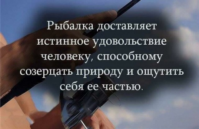 А ведь жизнь не так и плоха...