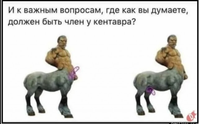 Кентавры - самые загадочные существа греческой мифологии