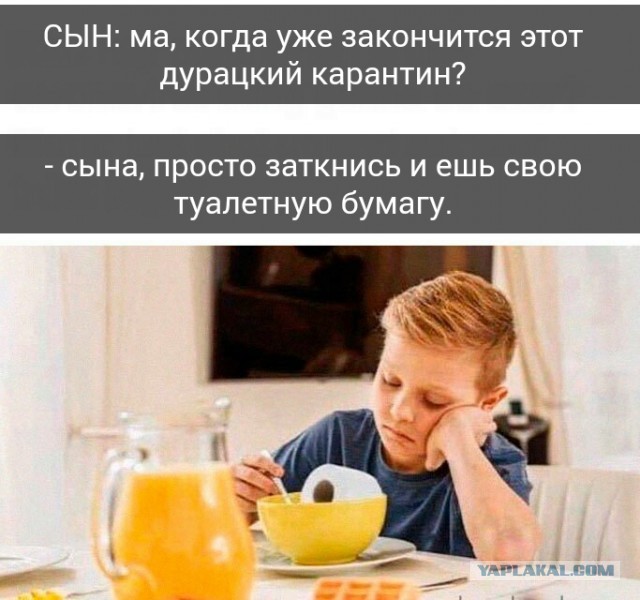 А помните пандемию короновируса?