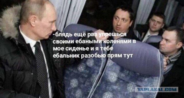 Картинок подвезли