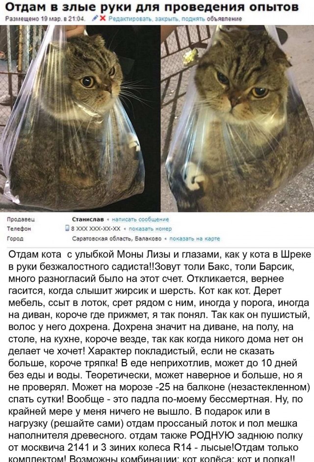 Прикольные комменты и картинки