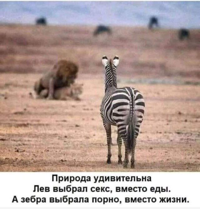 Маленькая пятница