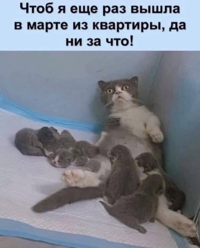 ТРРРРРидцать тРРРРРи от 22 маРРРРта!