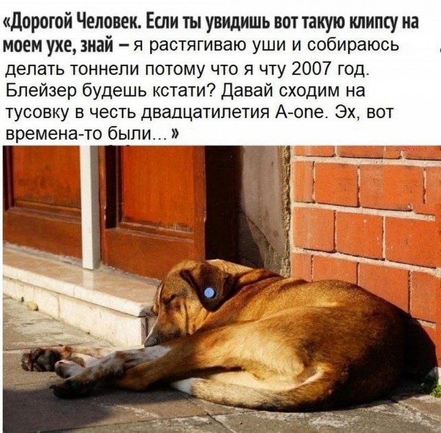 Нуштош 05.07.2024