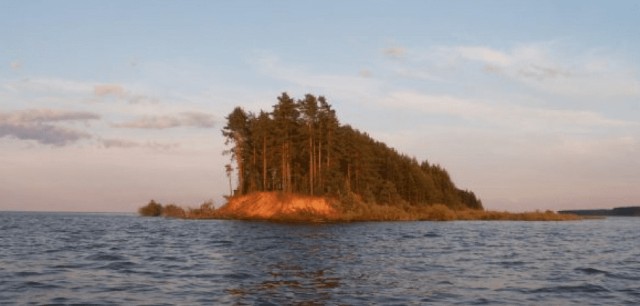 1976 год. Группа охотников высадилась в непогоду на острове. А потом охотиться начали на них...