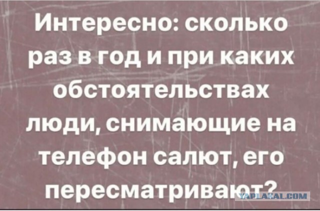 Немного забавных картинок от 01.09.2024