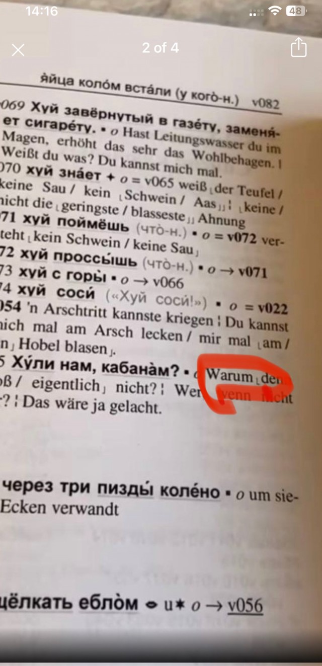Девушка нашла русско-немецкий словарь