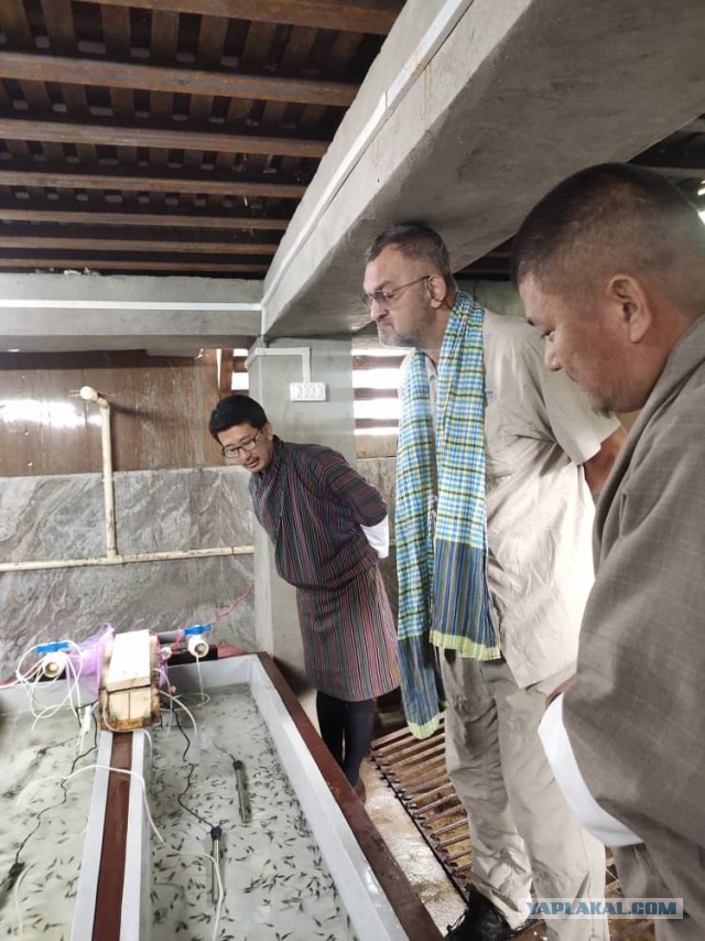 Бутан, таинственный Бутан