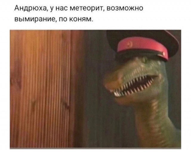 Так себе картинки 12.03.25