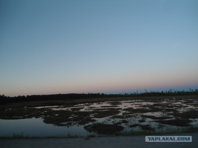 Красота! Лето на Ямале. Фото