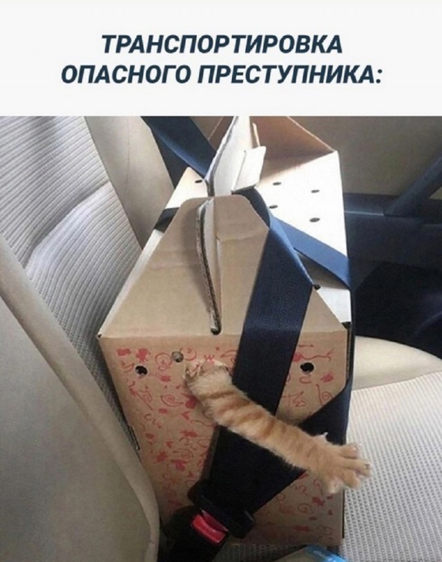 Так себе картинки 01.07.25