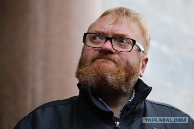 В догон про гигантских Жуков